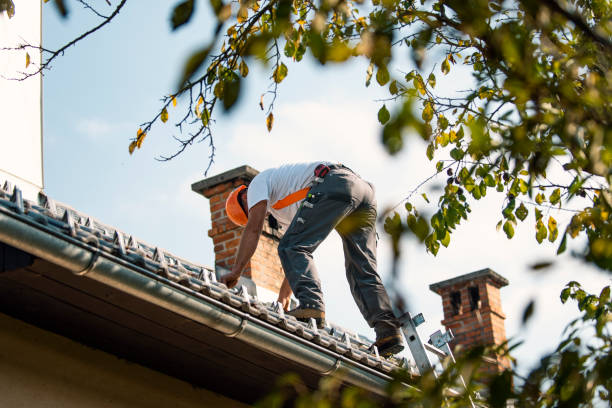 Best Metal Roofing Installation  in Stonewood, WV